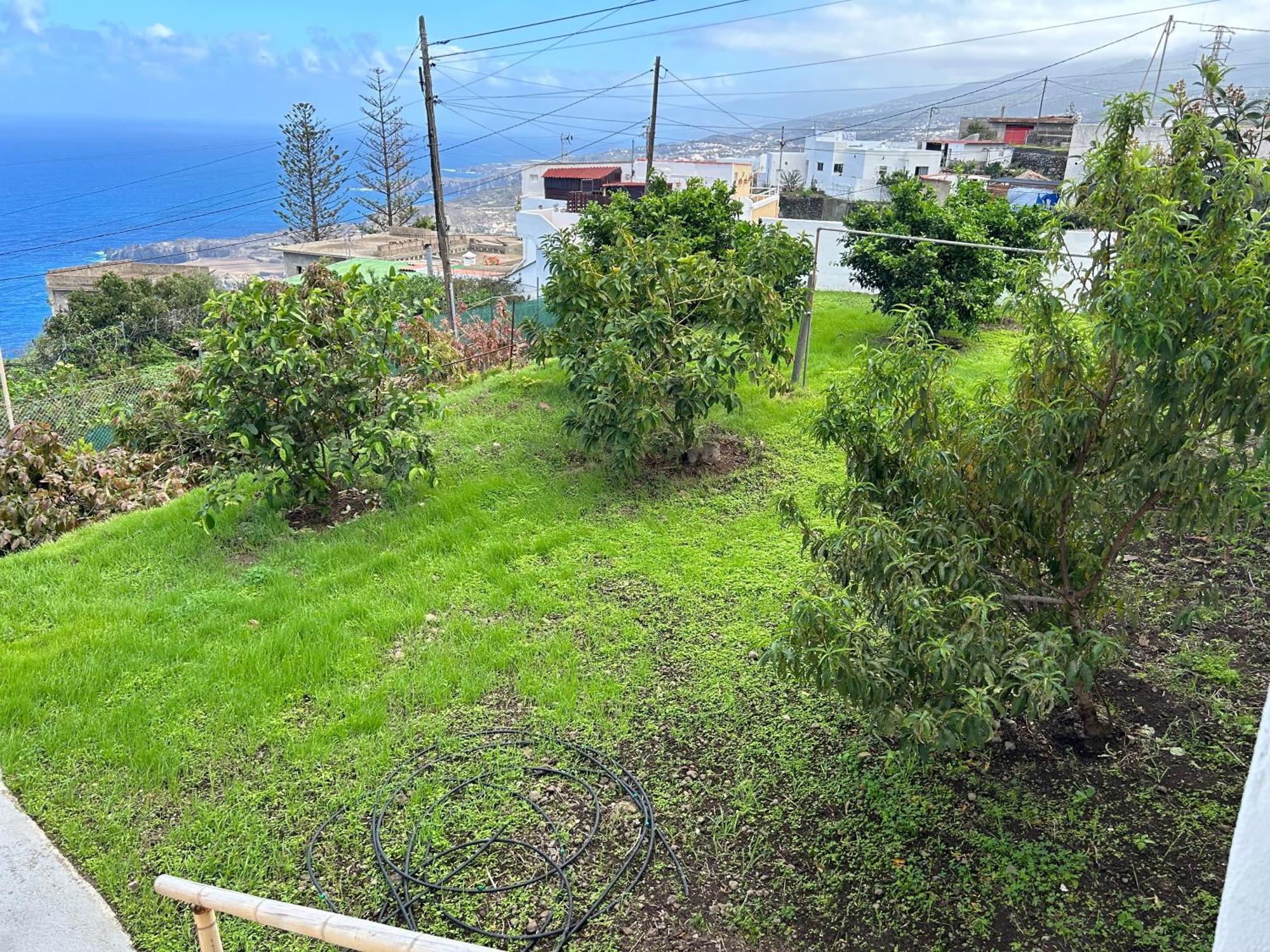 Casa La Oliva Apartman Garachico  Kültér fotó